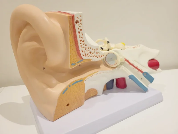 Microsuction Norwich